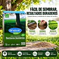 Semillas de Pasto Sombra 500 g Anasac | Césped para Baja Luz - Miniatura 3