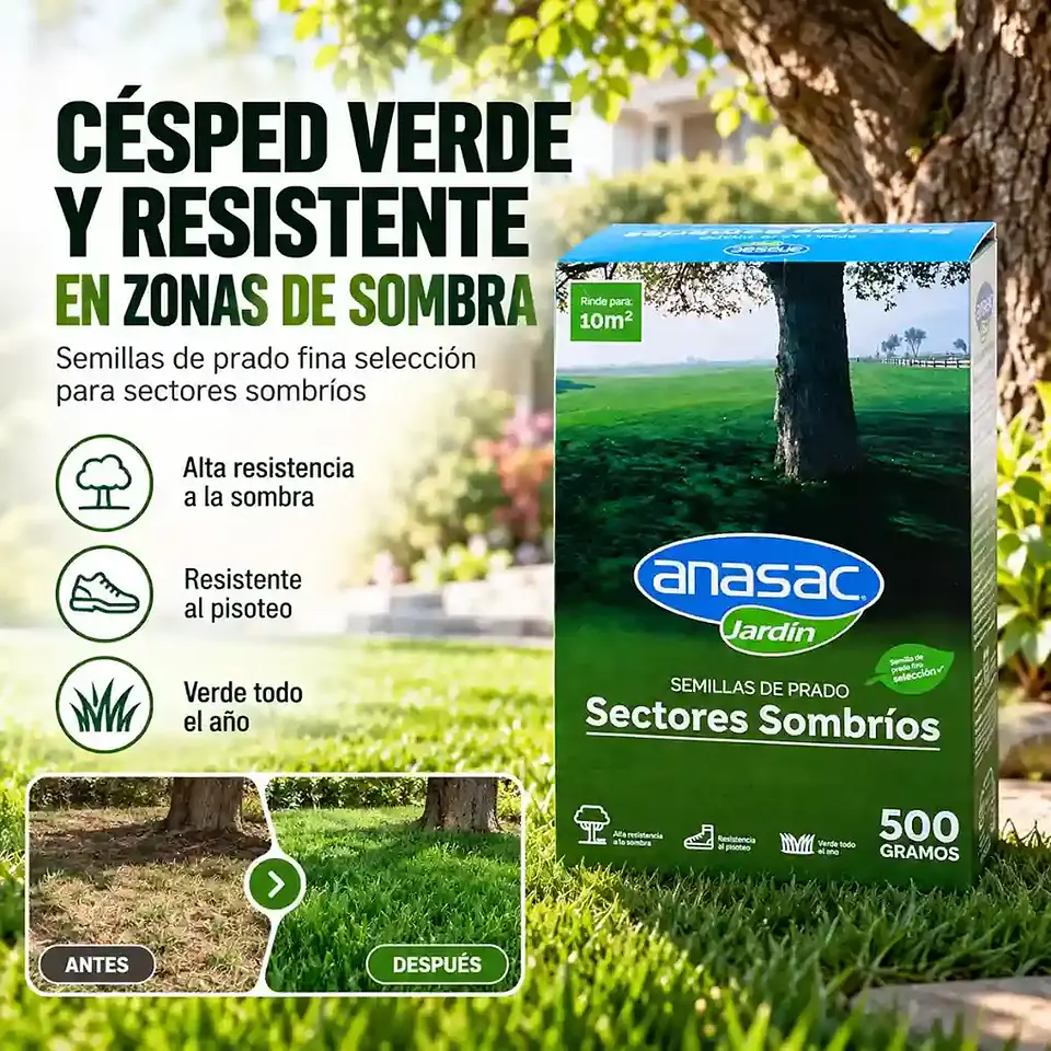 Semillas de Pasto Sombra 500 g Anasac | Césped para Baja Luz 2