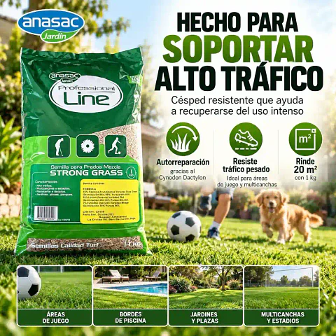 Semillas Pasto Strong Grass 1 kg | Alto Tráfico Anasac