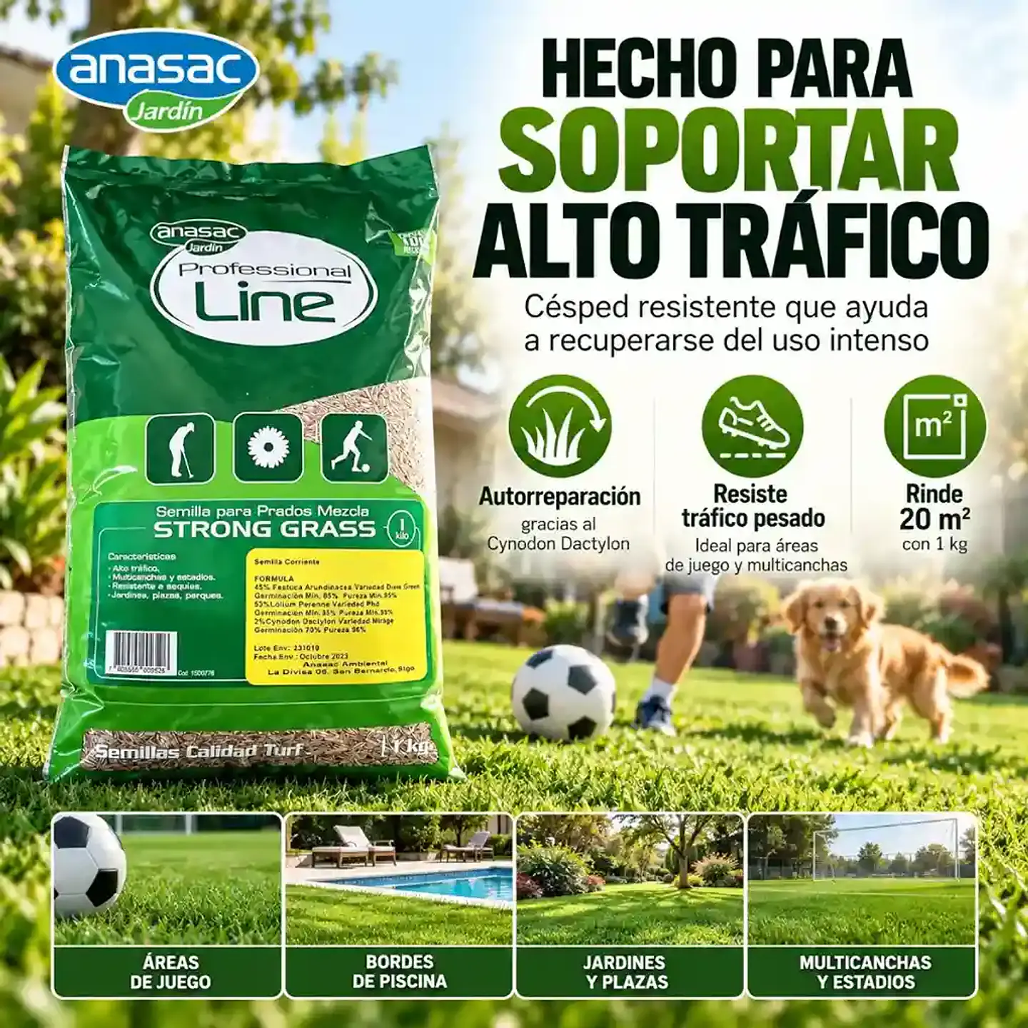 Semillas Pasto Strong Grass 1 kg | Alto Tráfico Anasac 2