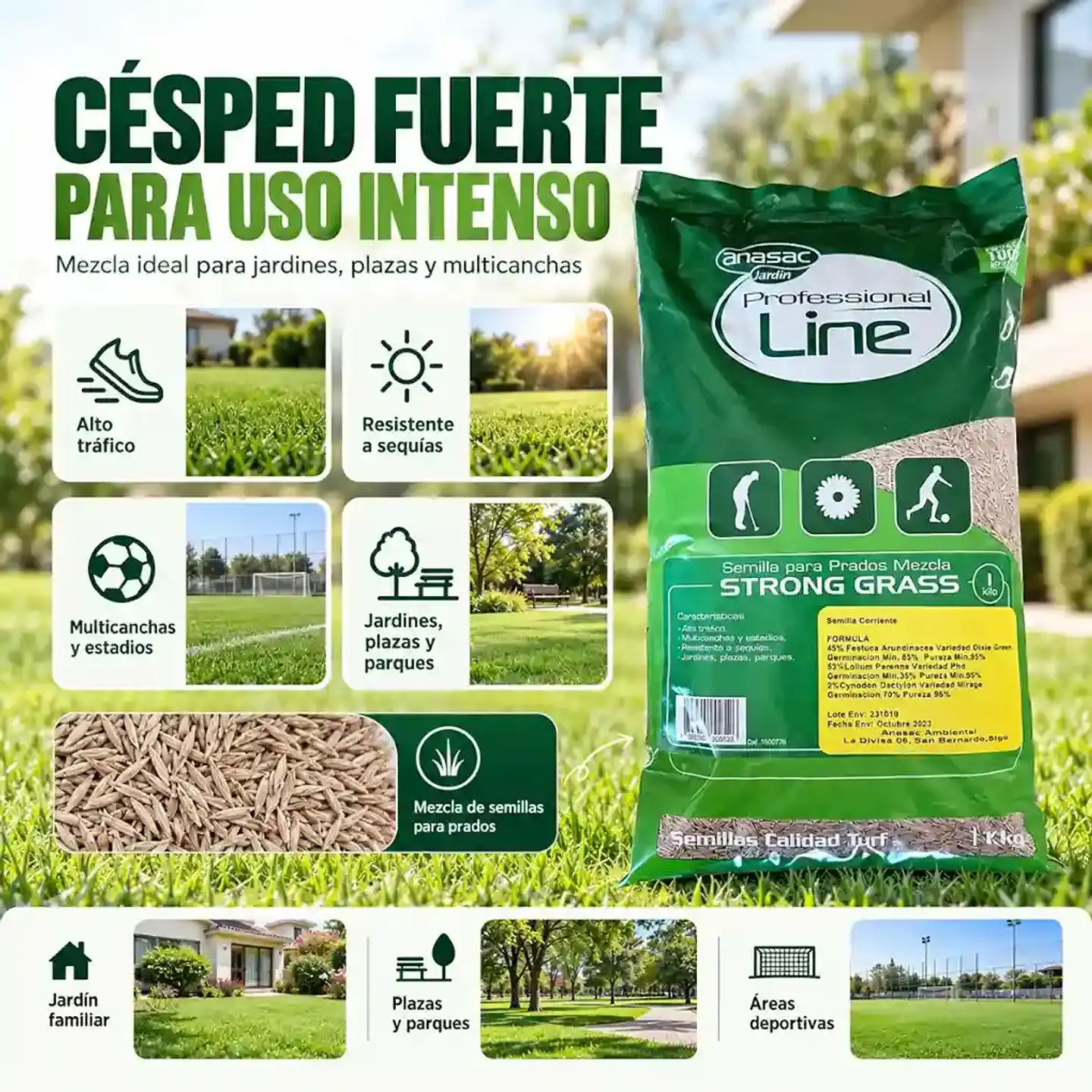 Semillas Pasto Strong Grass 1 kg | Alto Tráfico Anasac 3