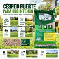 Semillas Pasto Strong Grass 1 kg | Alto Tráfico Anasac - Miniatura 3