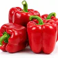 Semillas de Hortalizas de Frutos - Miniatura 25
