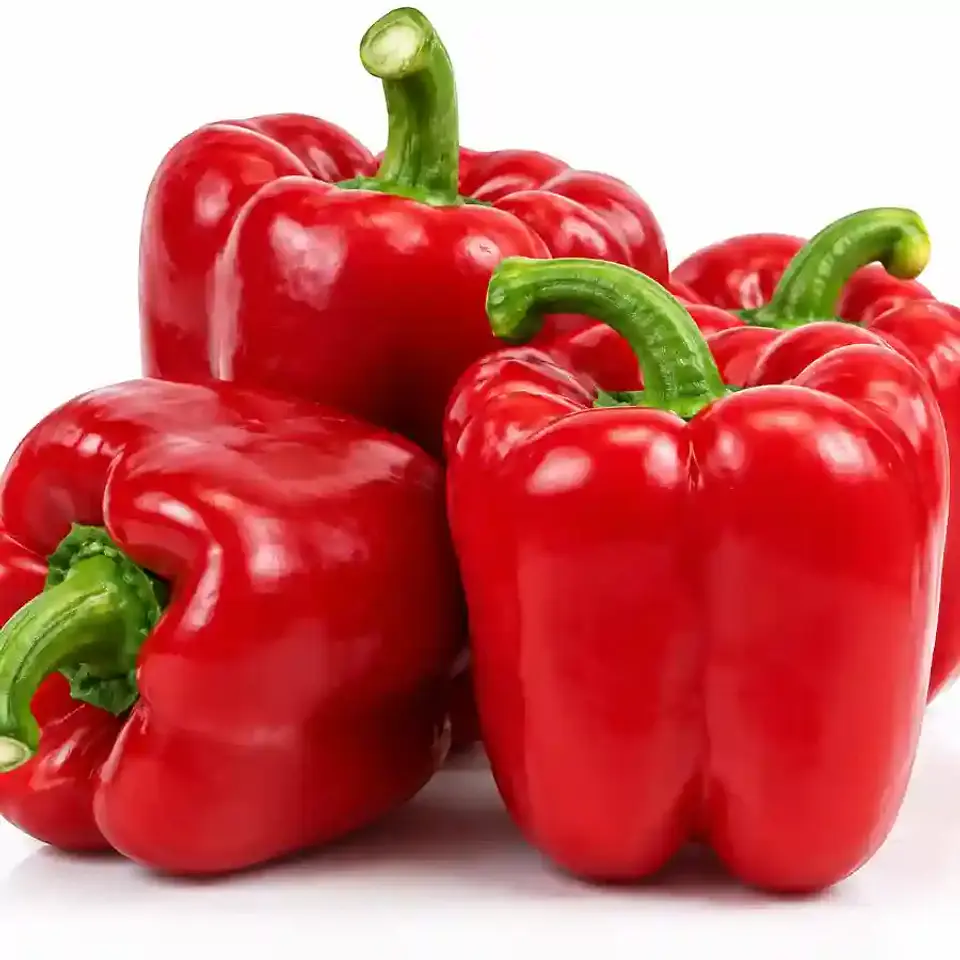 Semillas de Hortalizas de Frutos 25