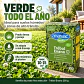 Semillas Trébol Enano 250 g Anasac | Césped Suelos Húmedos - Miniatura 2