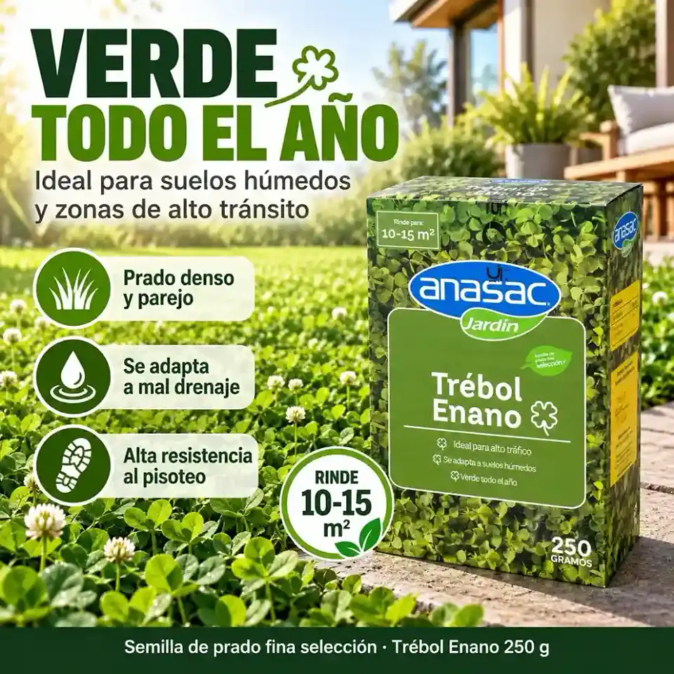 Semillas Trébol Enano 250 g Anasac | Césped Suelos Húmedos 2