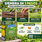 Semillas Trébol Enano 250 g Anasac | Césped Suelos Húmedos - Miniatura 3