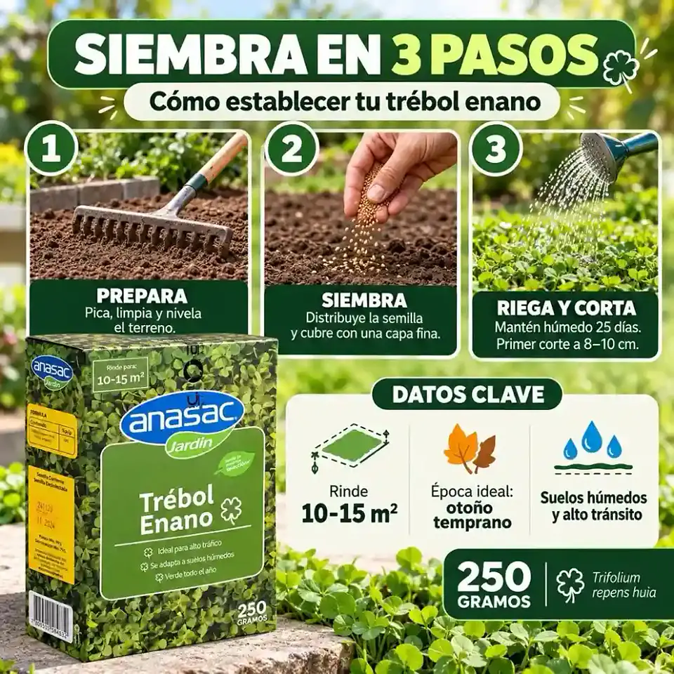 Semillas Trébol Enano 250 g Anasac | Césped Suelos Húmedos 3