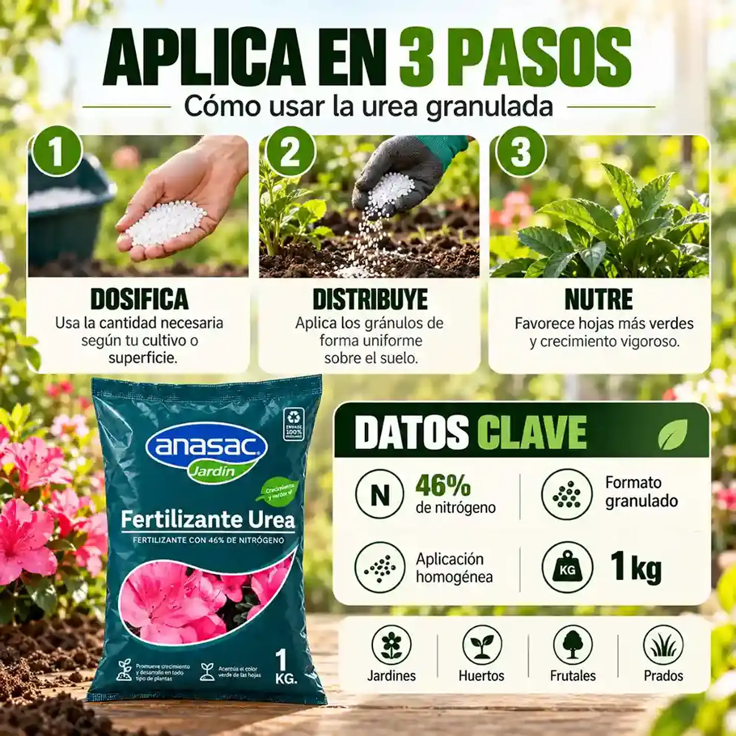Fertilizante Urea 1 kg Anasac | 46% de Nitrógeno para Crecimiento y Verdor 3