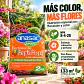 Fertilizante Ferti Flores 2 kg Anasac | NPK 8-4-28 para Floración y Color - Miniatura 2