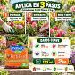 Fertilizante Ferti Flores 2 kg Anasac | NPK 8-4-28 para Floración y Color - Miniatura 3