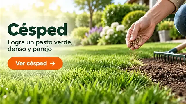 Mano sembrando semillas de césped sobre pasto verde y parejo