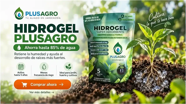 Manos plantando un almácigo con hidrogel hidratado en la tierra