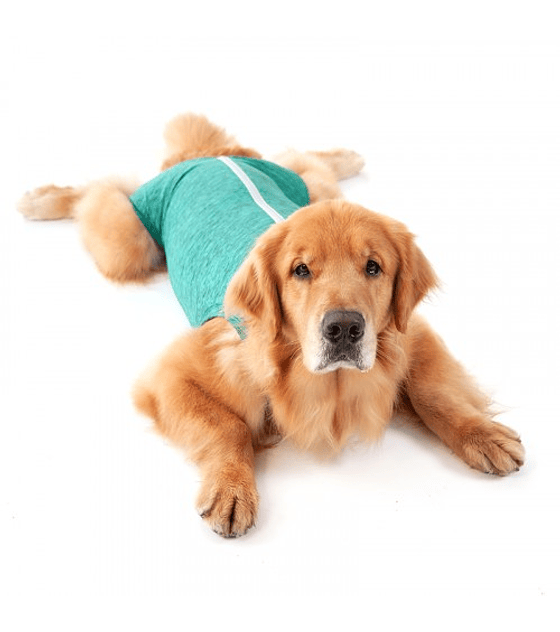 Ropa Post-Quirúrgica y Protectora Pet Med para perro talla 6