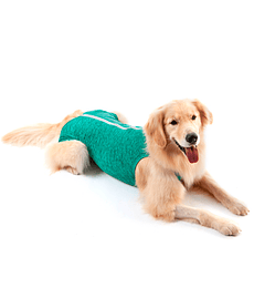 Ropa Post-Quirúrgica y Protectora Pet Med para perro talla 10