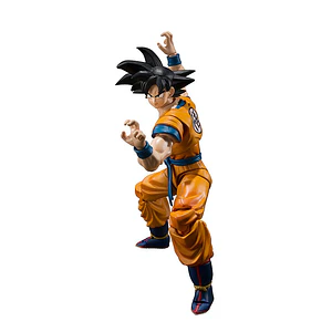 Son Goku Super Hero