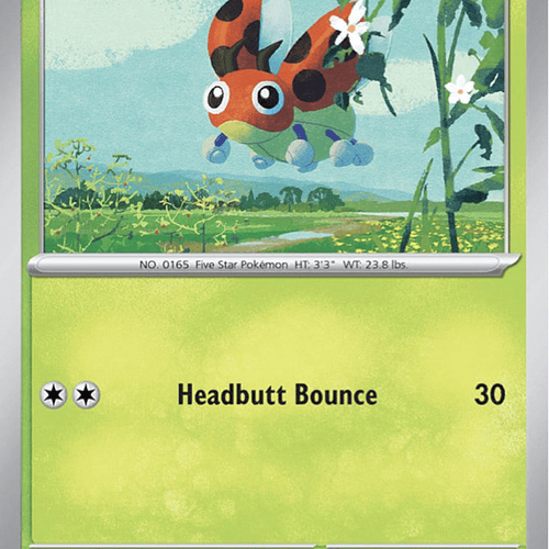 Ledyba [002/142]