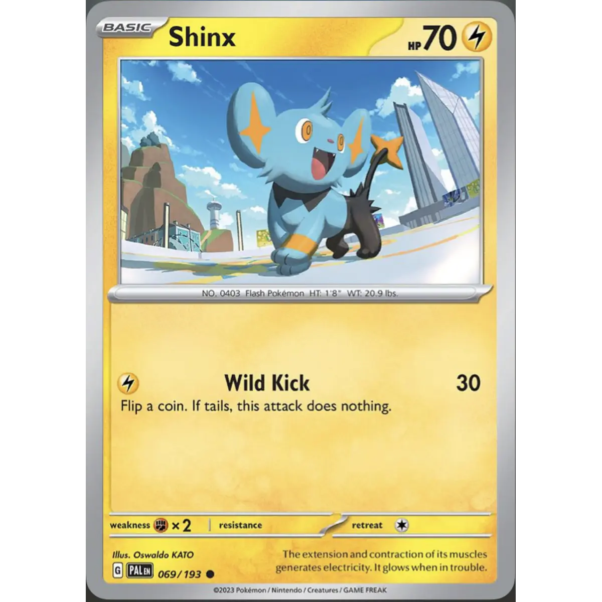 Shinx [069/193]