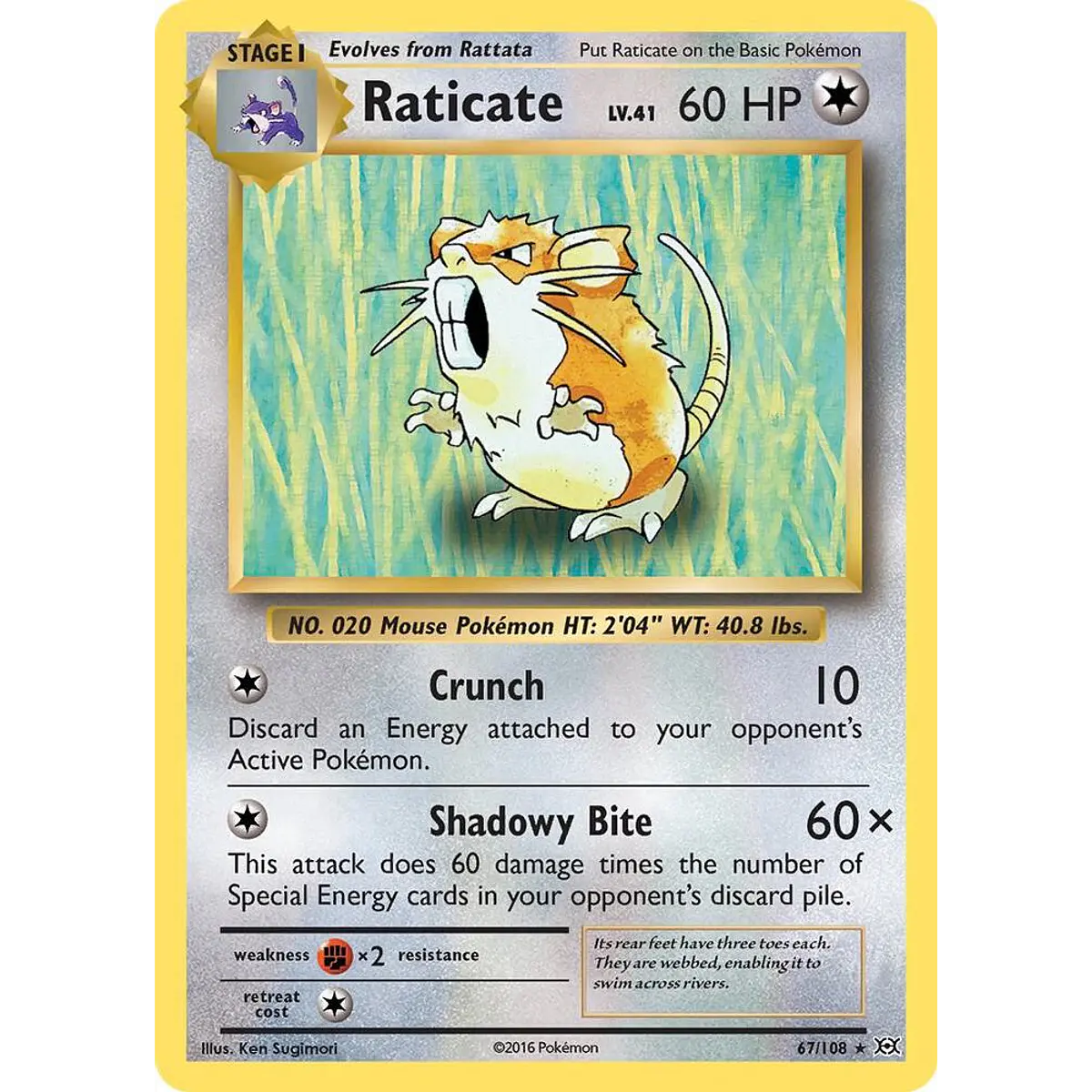 Raticate [67/108]