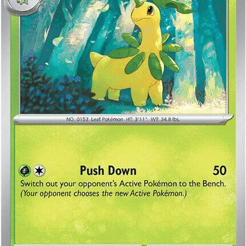 Bayleef [009/132]