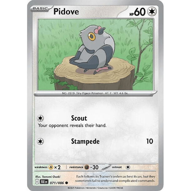 Pidove [071/086]