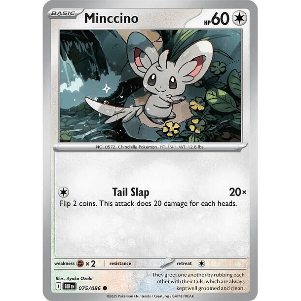 Minccino [075/086]