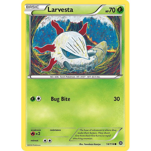 Larvesta [14/114]