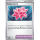 Colbur Berry [168/191]