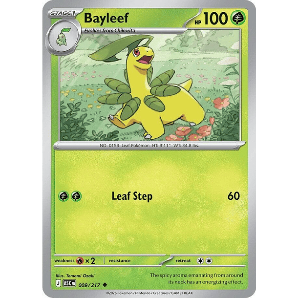 Bayleef [009/217]