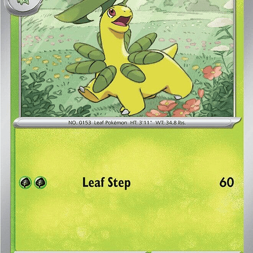 Bayleef [009/217]