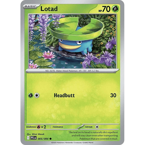 Lotad [005/094]