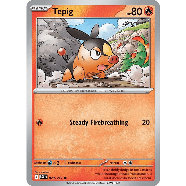 Tepig (029/217)