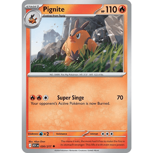 Pignite (030/217)