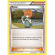 Trevor [XY-33]