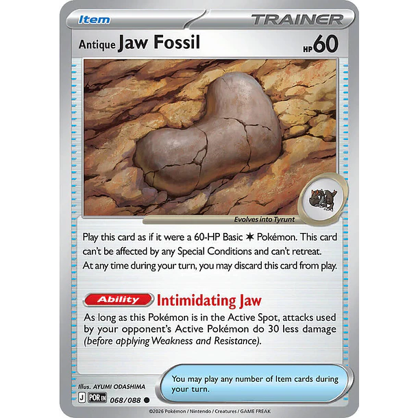 Antique Jaw Fossil [068/088]