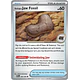 Antique Jaw Fossil [068/088]