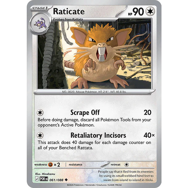 Raticate [061/088]