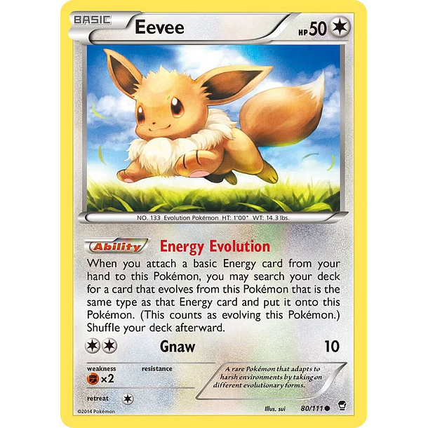 Eevee [80/111]