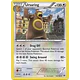 Ursaring [122/162]