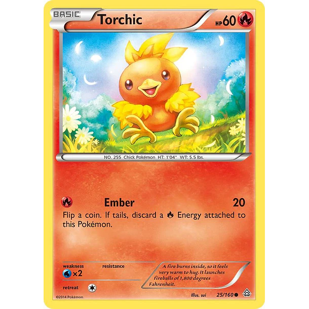 Torchic [25/160]