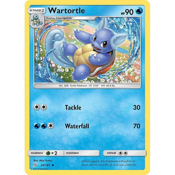 Wartortle [24/181]
