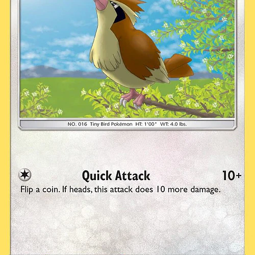 Pidgey [122/181]
