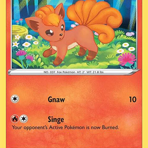 Vulpix [06/73]