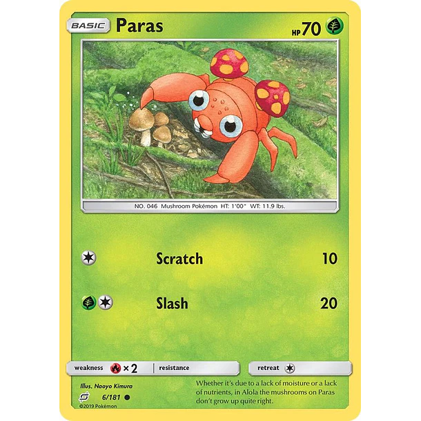 Paras [6/181]