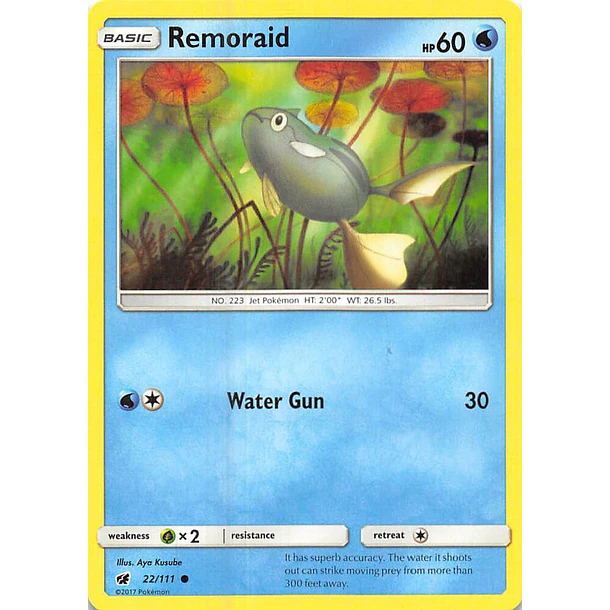 Remoraid [22/111]
