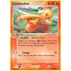 Combusken [29/108]