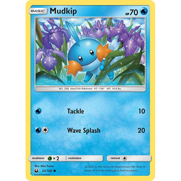 Mudkip [33/168]