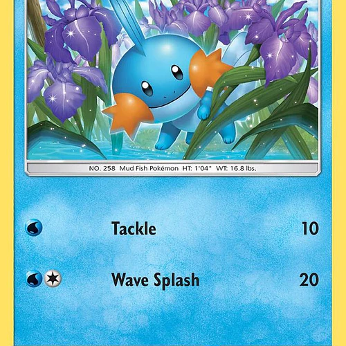 Mudkip [33/168]