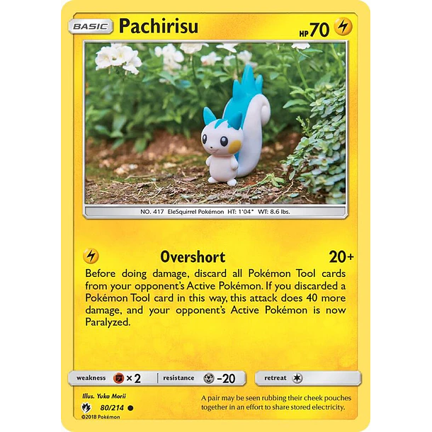 Pachirisu [80/214]