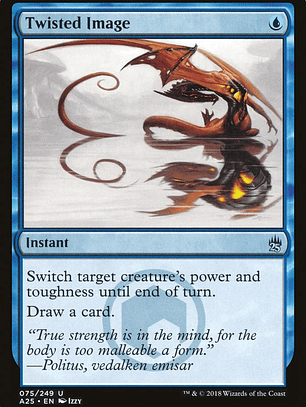 Twisted Image (Masters 25)